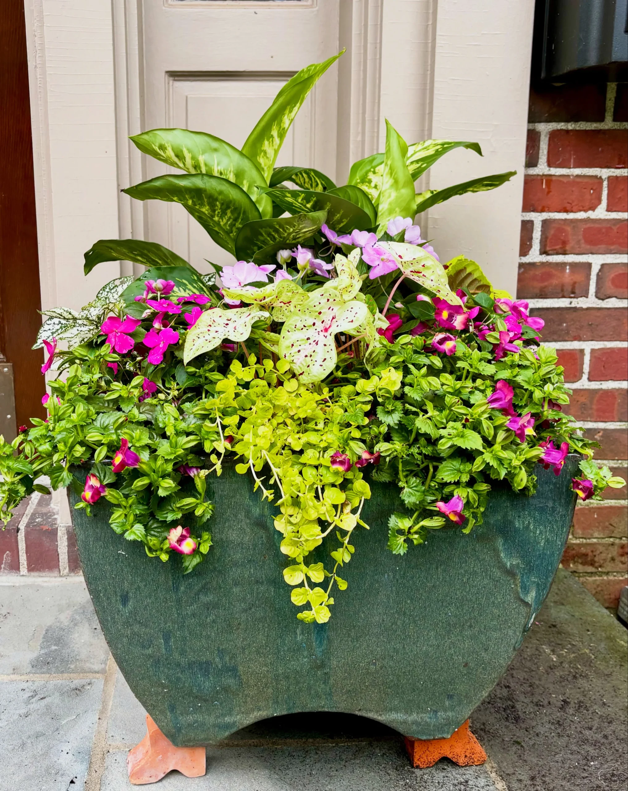 3- Fill One Container With Color