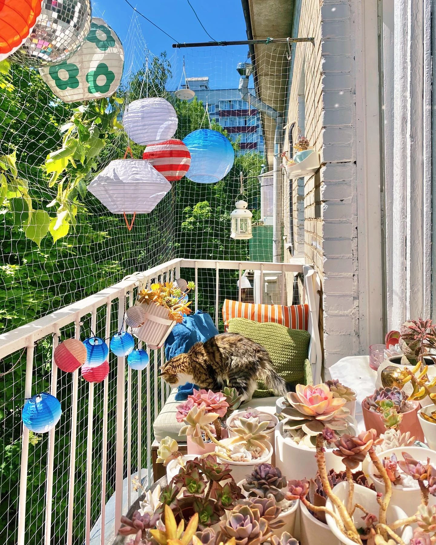 3- Layer Mesh with Paper Lanterns