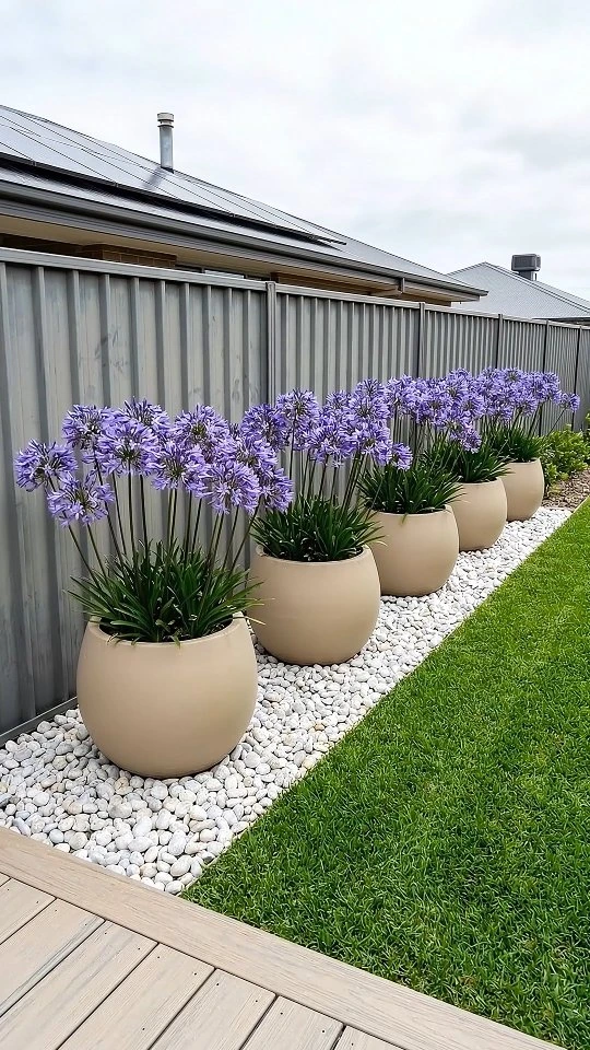 10- Repeat Purple Planters Along the Path