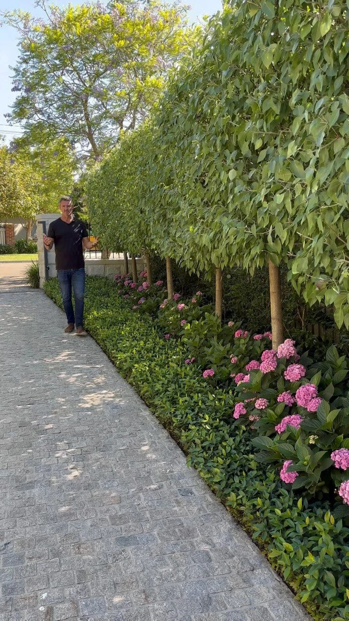 2- Soften the Driveway with a Privacy Hedge