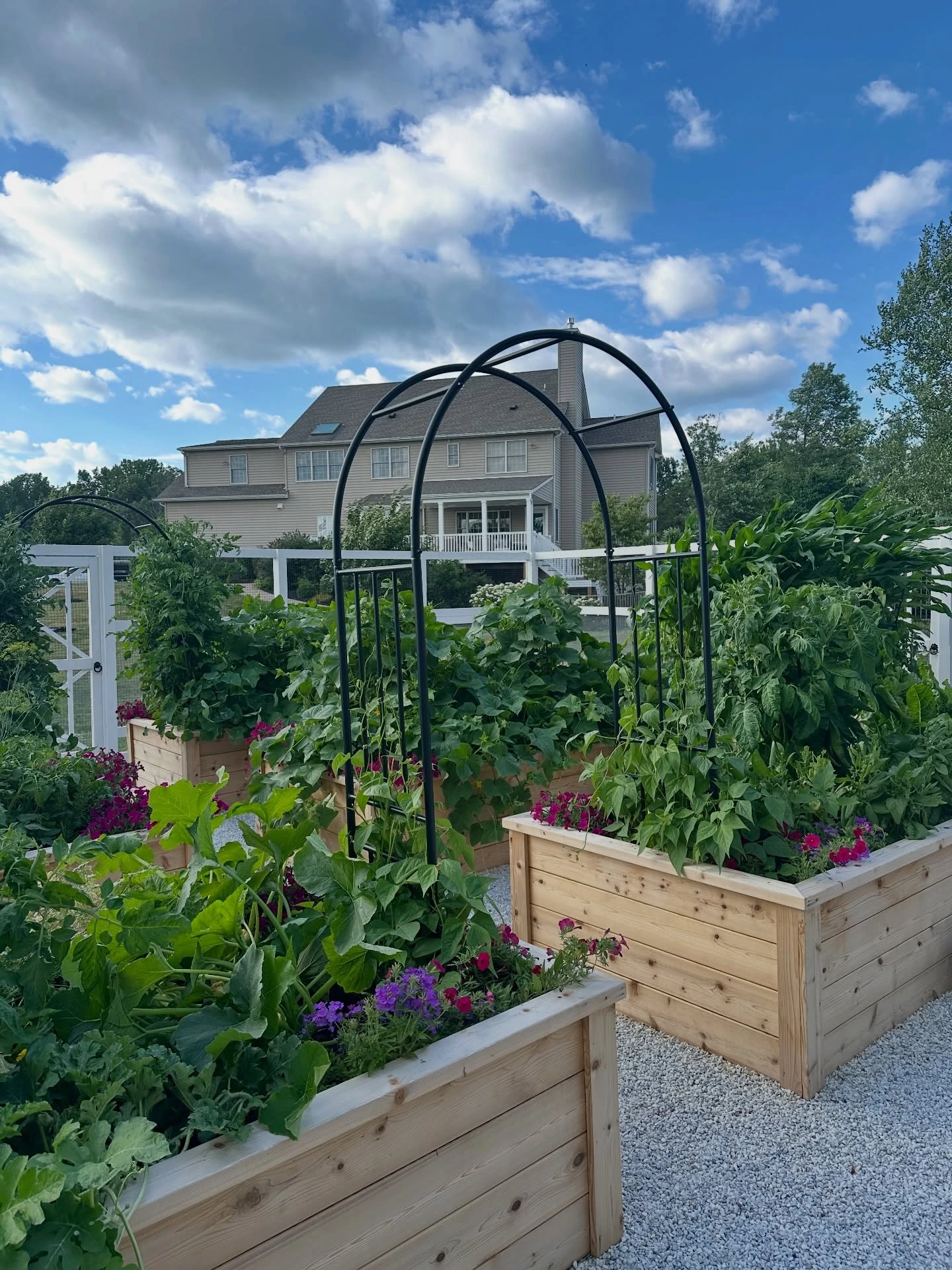 6- Support Climbers with an Arched Trellis