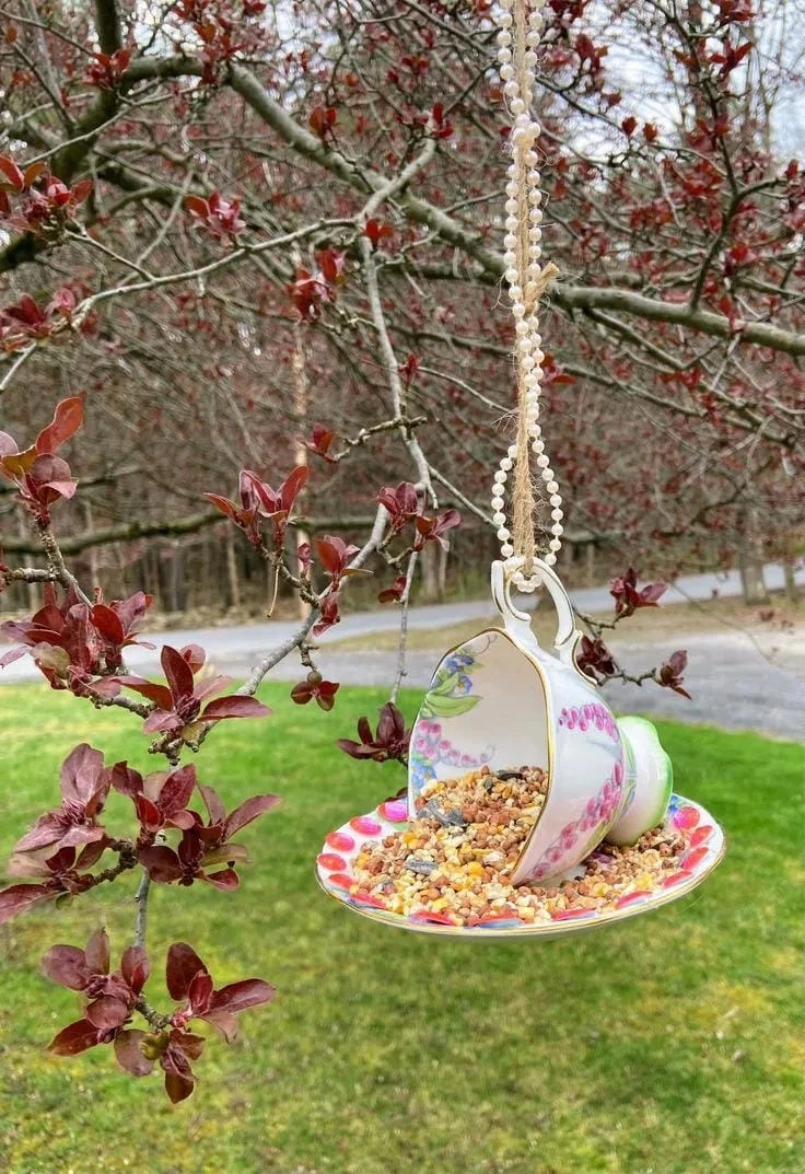 6- Suspend a Teacup and Saucer from a Branch