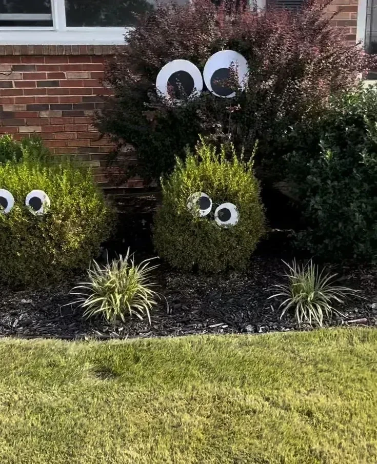 1- Create a Tiny Yard Rescue Scene